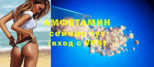 прущие грибы Михайлов