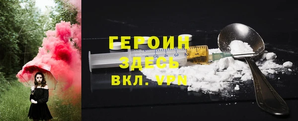 прущие грибы Михайлов