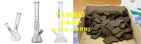 прущие грибы Михайлов