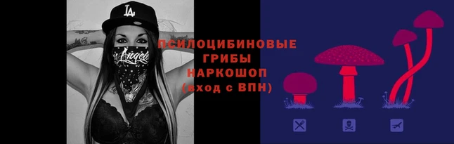 крисы Березники