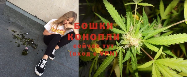 ГАЛЛЮЦИНОГЕННЫЕ ГРИБЫ Михайловск