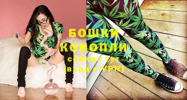 ГАЛЛЮЦИНОГЕННЫЕ ГРИБЫ Михайловск