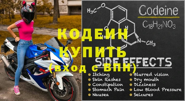 прущие грибы Михайлов