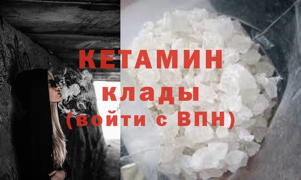 прущие грибы Михайлов